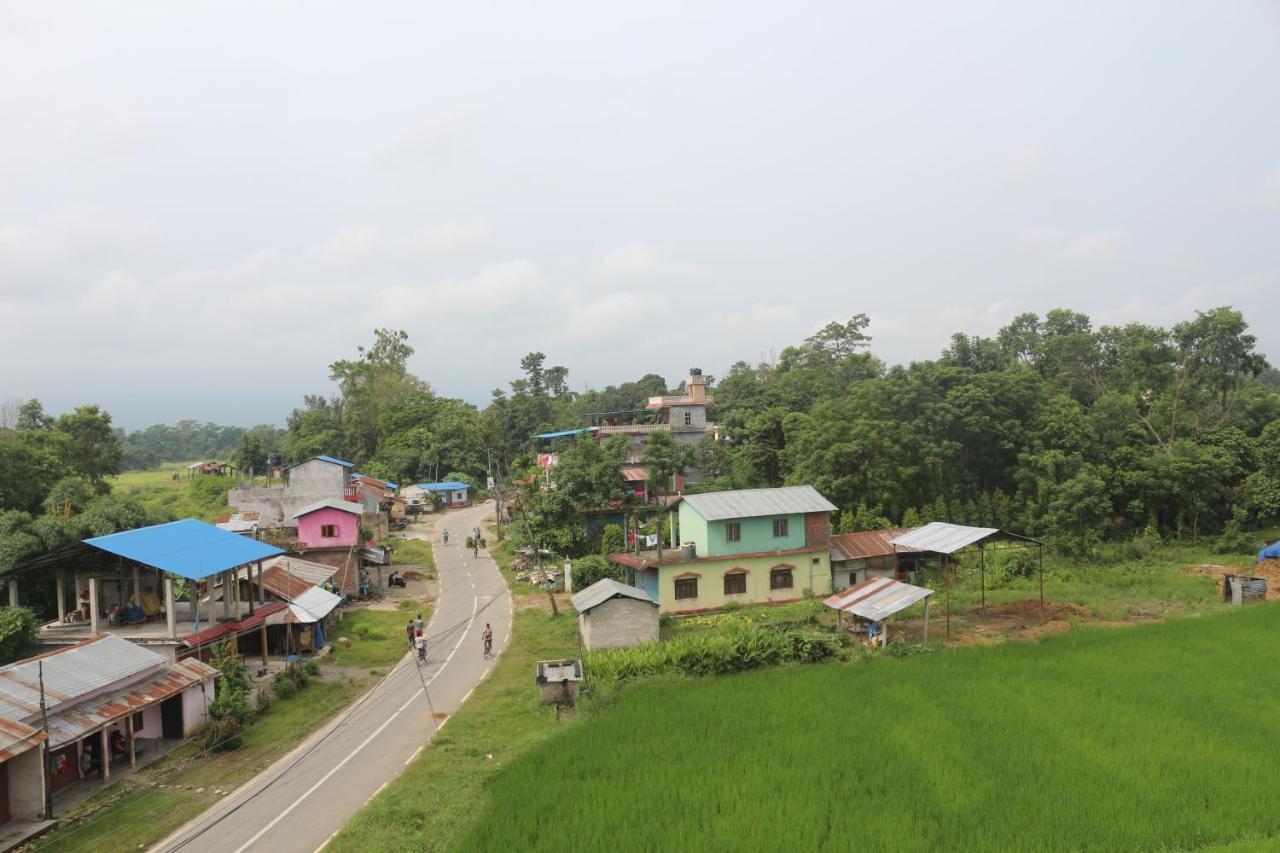 Tiger Corner Inn Homestay Sauraha Buitenkant foto