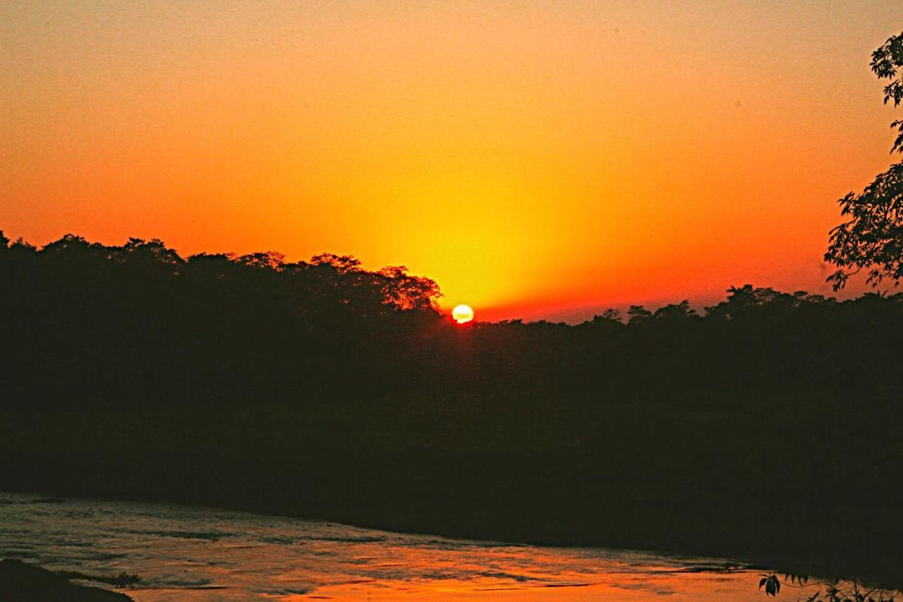 Tiger Corner Inn Homestay Sauraha Buitenkant foto
