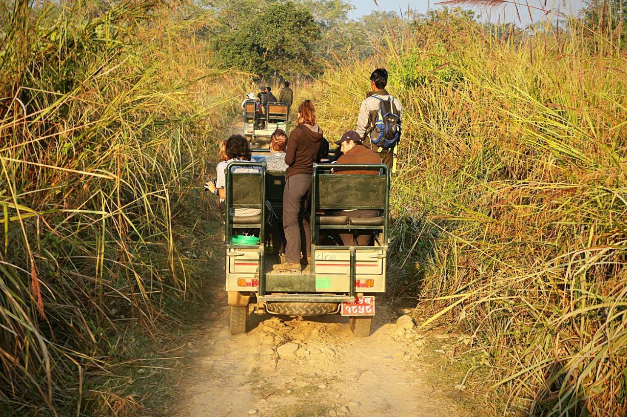 Tiger Corner Inn Homestay Sauraha Buitenkant foto